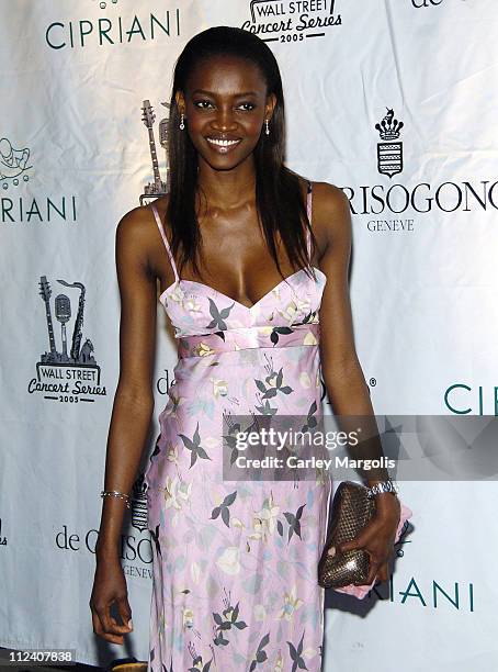 Oluchi during 2005 Cipriani Wall Street Concert Series Featuring Alicia Keys at Cipriani Wall Street in New York City, New York, United States.