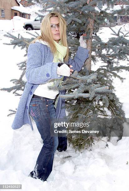 Deborah Kara Unger during 2004 Park City - 7 For All Mankind Jeans House at Main Street Mall in Park City, Utah, United States.