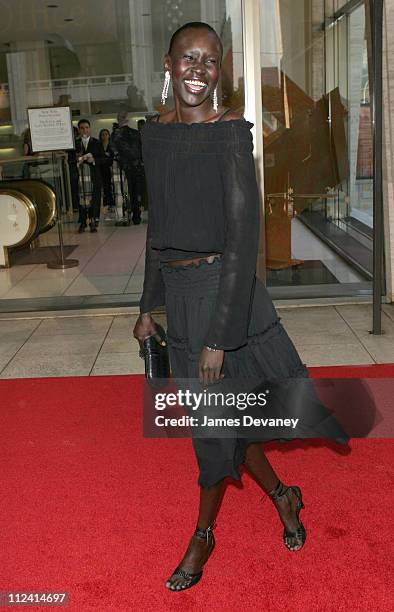 Alek Wek during Harvey Fierstein Hosts The Fragrance Foundation's 31st Annual "FIFI" Awards at Avery Fisher Hall in New York City, New York, United...
