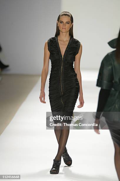 Anouck Lepere wearing Carlos Miele Fall 2007 during Mercedes-Benz Fashion Week Fall 2007 - Carlos Miele - Runway at The Promenade in New York City,...