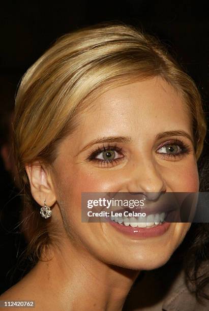 Sarah Michelle Gellar during "The Grudge" - Los Angeles Premiere - Red Carpet at Mann Village Theater in Westwood, California, United States.