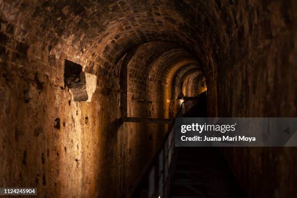 vault and tunnel of the cerezuelo de cazorla river.  province of jaen.  andalusia, spain - cazorla stock pictures, royalty-free photos & images