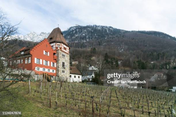 View of a house on January 23, 2019 in Vaduz, Liechtenstein. Liechtenstein celabrates the 300th anniversary of the founding of Liechtenstein. 300...