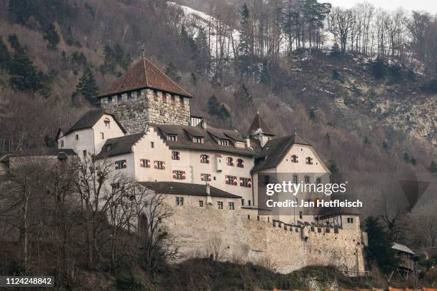 View of the Vaduz Castle on January 23, 2019 in Vaduz, Liechtenstein. Liechtenstein celabrates the 300th anniversary of the founding of the...