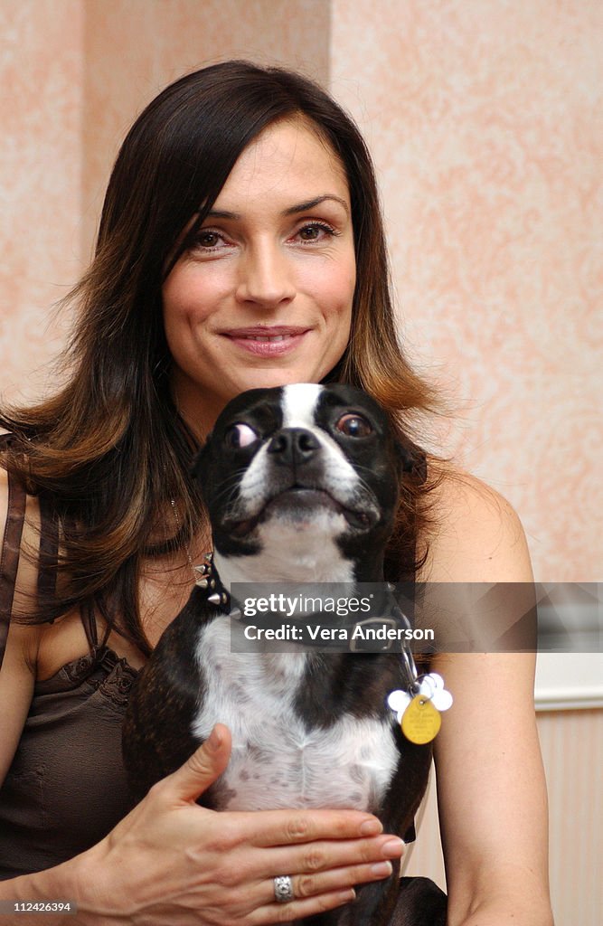 "Hide and Seek" Press Conference with Elisabeth Shue, Famke Janssen and Dakota Fanning