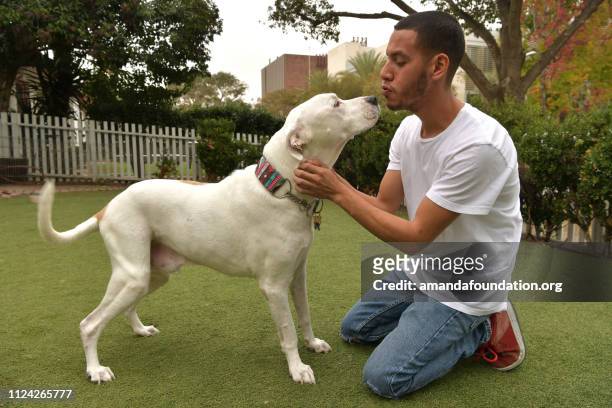 Rescue Animal - affectionate white and tan American Bulldog mix with a man