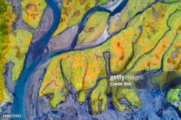 abstract shapes of rivers from above, snaefellsnes, iceland - tide rivers stock pictures, royalty-free photos & images