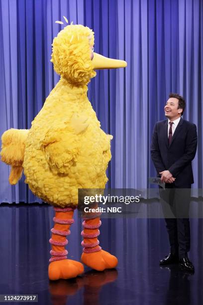 Episode 1013 -- Pictured: Sesame Street character Big Bird and host Jimmy Fallon during the "Sesame Workshop" on February 11, 2019 --