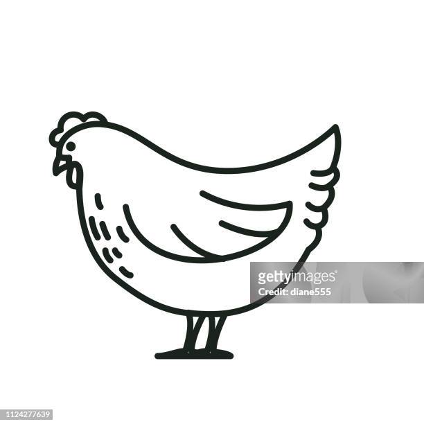 ilustrações, clipart, desenhos animados e ícones de frango agricultura e criação de ícones de linha fina - galinha ave doméstica