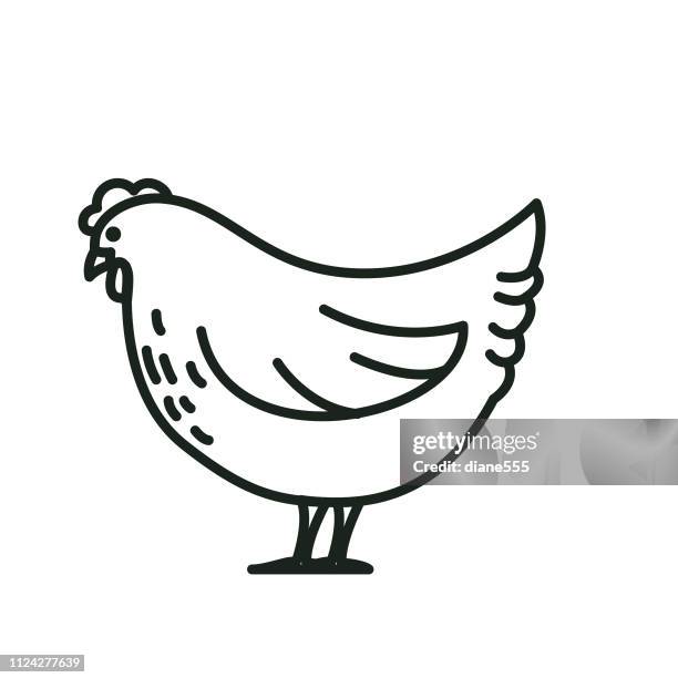 chicken agriculture and farming thin line icons - agricultural activity stock illustrations