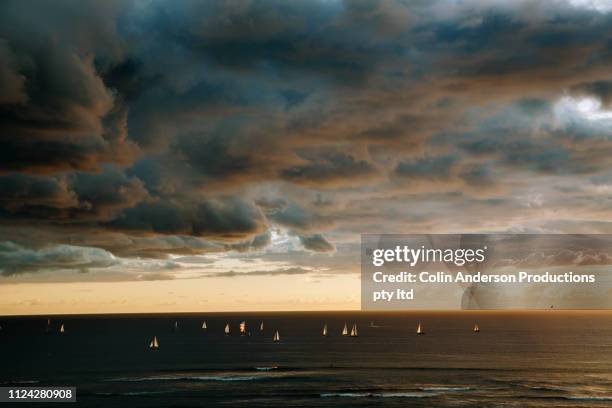 sailing at sunset - catamaran sailing stock-fotos und bilder