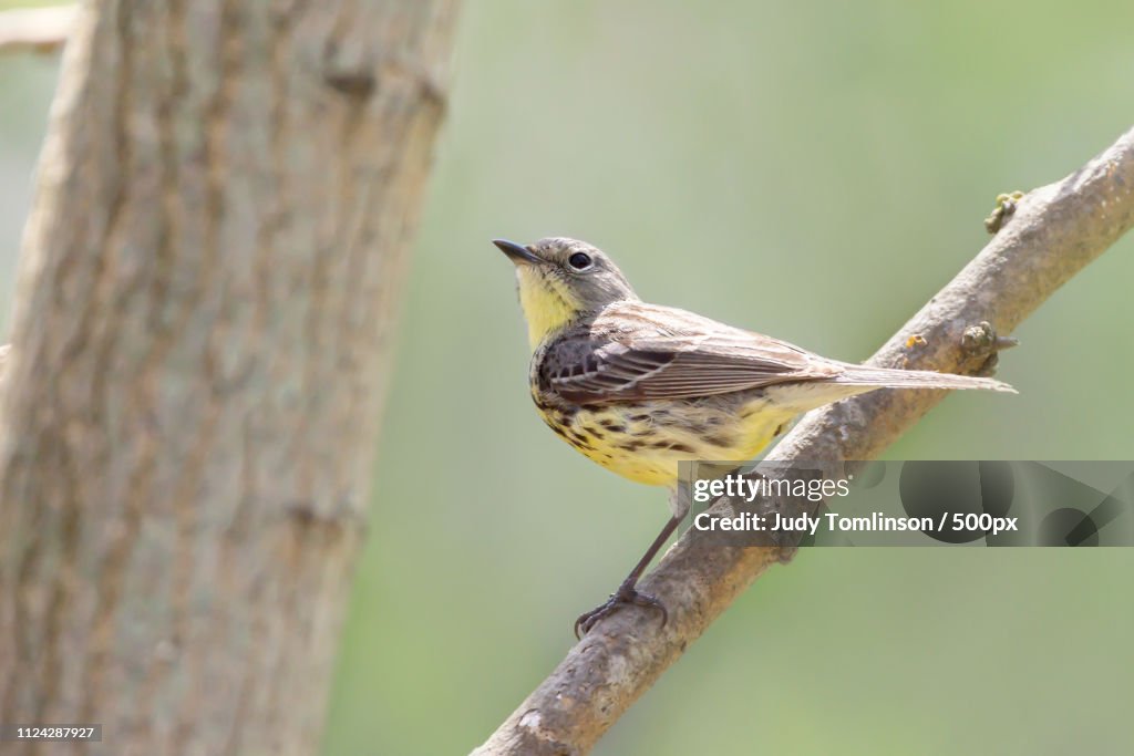 Norfolk County, Canada