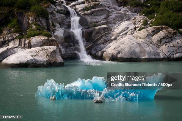 rockintheglaciers - shannon tibbetts stock pictures, royalty-free photos & images