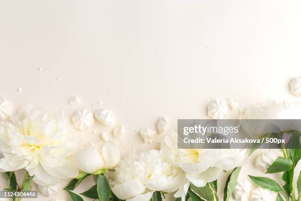 flat lay with spring flowers on beige - freesia bouquet stock pictures, royalty-free photos & images