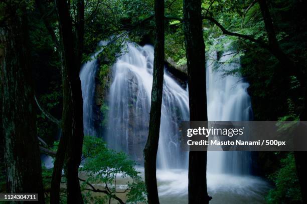 waterfall - gifu prefecture stock pictures, royalty-free photos & images