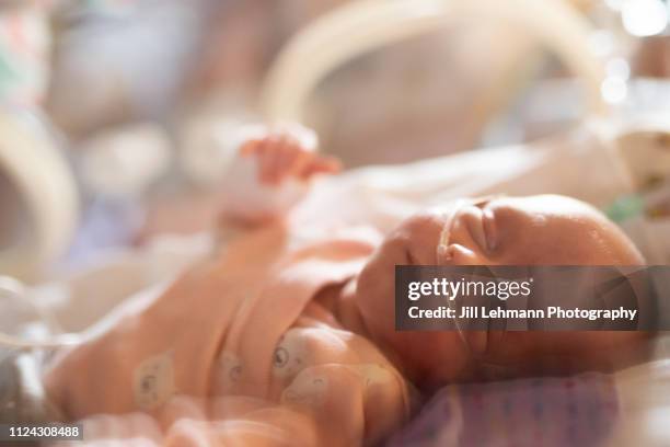 29 week premature in incubator / isolette with oxygen and ng tube in nicu is sleeping peacefully - oxígeno fenómeno natural fotografías e imágenes de stock