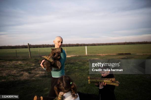 a bald mother collecting firewood with her twin daughters - stanislaus county stock pictures, royalty-free photos & images