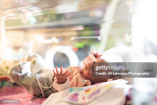 29 week premature in incubator / isolette with oxygen and ng tube in nicu - premature baby stock pictures, royalty-free photos & images