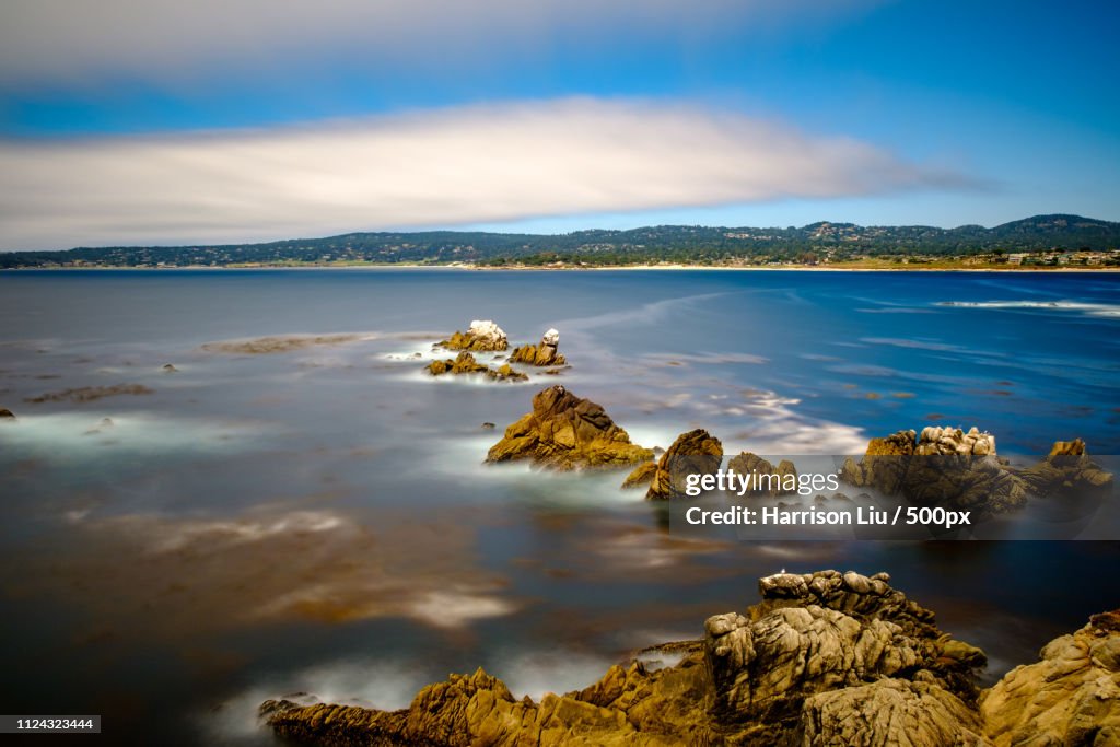 Landscape with Point Lobos