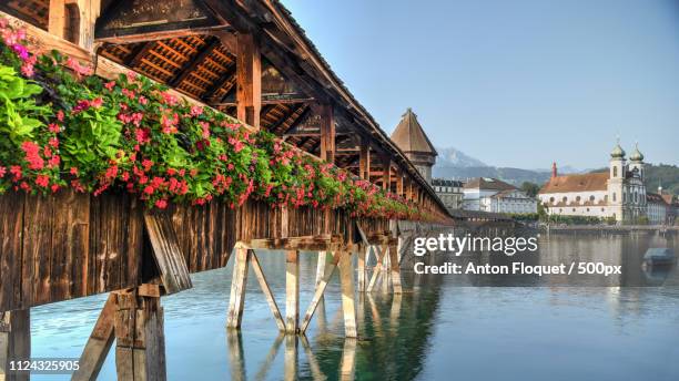 gardens over water. - kapellbrücke stock-fotos und bilder