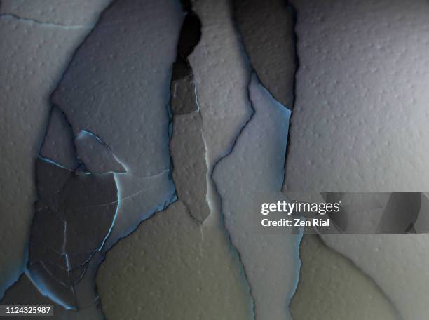 extreme close up image of egg shells layered and cracked - high key stock pictures, royalty-free photos & images