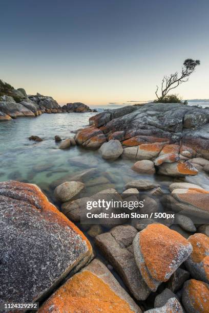 bay of fires tasmania - sloan stock pictures, royalty-free photos & images