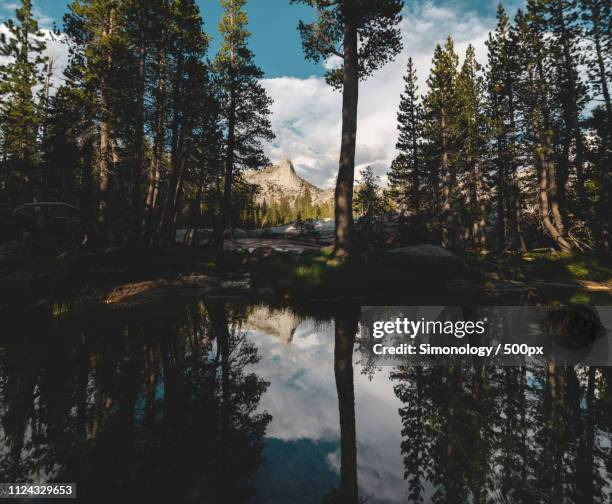 cathedral lake & cathedral peak - cathedral imagens e fotografias de stock