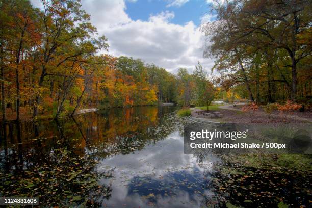 autumn tree reflections - toledo ohio fotografías e imágenes de stock