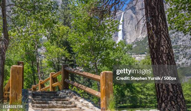 into the woods - wooden bridge into the woods stock pictures, royalty-free photos & images