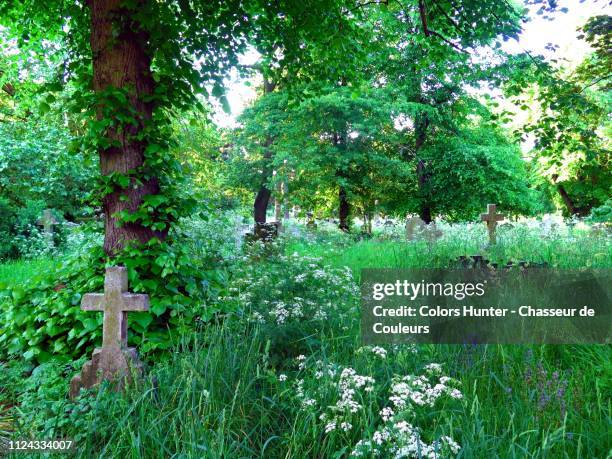 old stone cross covered by grass in brompton cemetery - 埋葬地 ストックフォトと画像