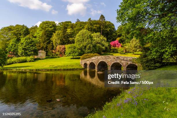 stourhead gardens in wiltshire uk - stourhead wiltshire stock pictures, royalty-free photos & images