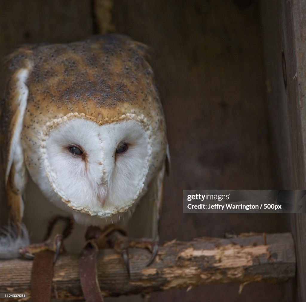 Photo by: Jeffry Warrington / 500px