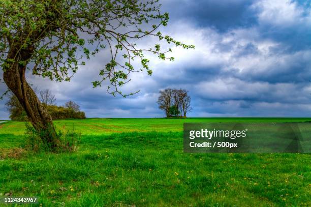 franconian agricultural landscape - copse stock pictures, royalty-free photos & images
