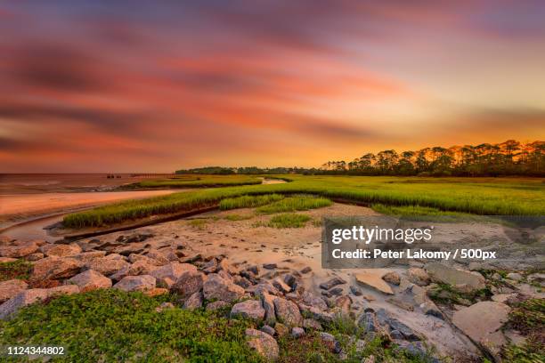 big talbot island - amelia island florida stockfoto's en -beelden