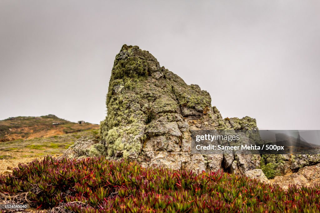 Rock At Marin Headlands