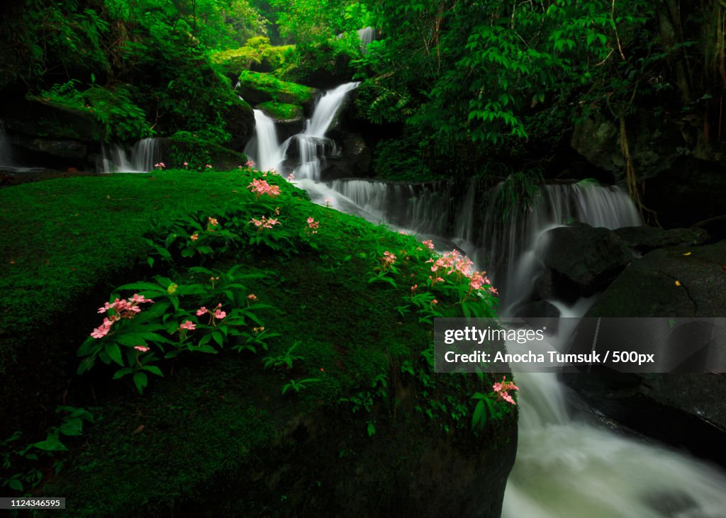 Waterfall Thailand