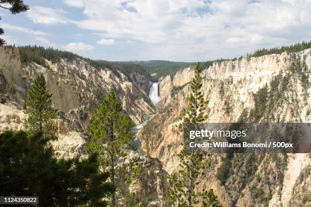 grand canyon of the yellowstone - viaggiare stock pictures, royalty-free photos & images