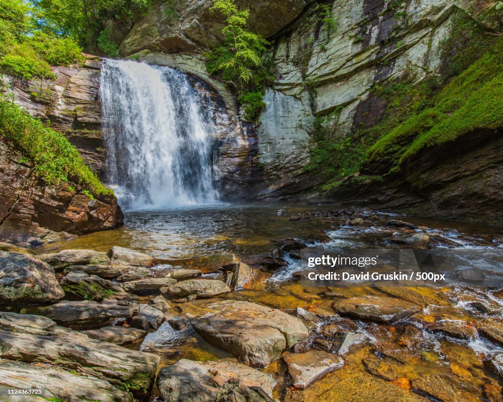 Looking Glass Falls