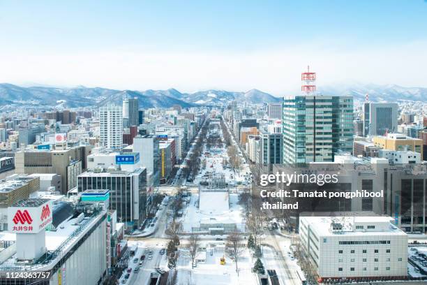 sapporo view from sapporo tv tower in sapporo city, hokkaido, japan - sapporo stock pictures, royalty-free photos & images