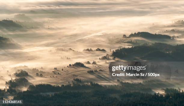 golden shades - babia góra mountain stockfoto's en -beelden