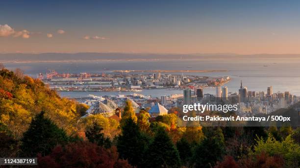 kobe skyline cityscape during sunset, japan - präfektur hyogo stock-fotos und bilder