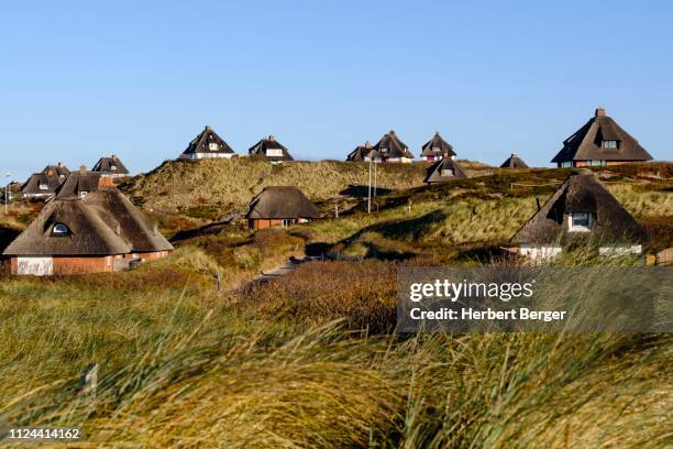 typical frisian houses with thatched roofs in the dunes of hoernum, sylt, nordfriesland, schleswig-holstein, germany - strohdach stock-fotos und bilder