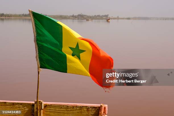 301 photos et images de Drapeau Sénégalais - Getty Images