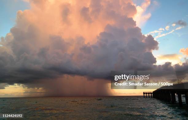 mushroom sunrise - muchroom stock pictures, royalty-free photos & images