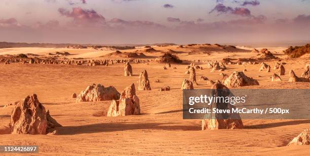 pinnacles desert of cervantes - pinnacle rock formation stock pictures, royalty-free photos & images