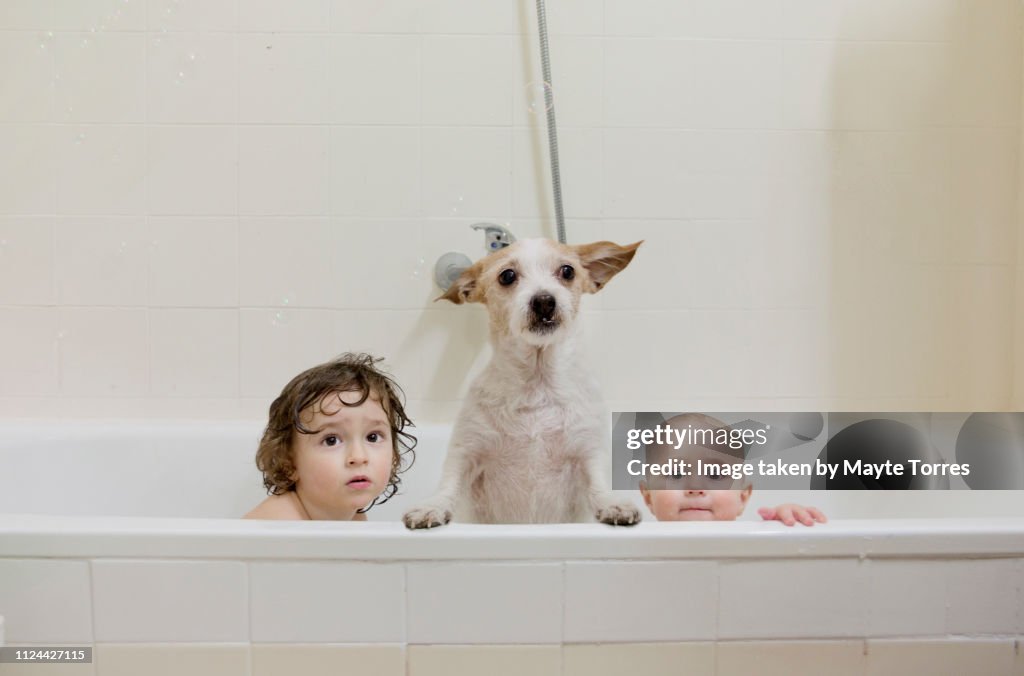 Two brothers take a bath with the dog