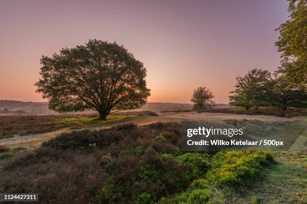 as the sun rises - posbank stockfoto's en -beelden