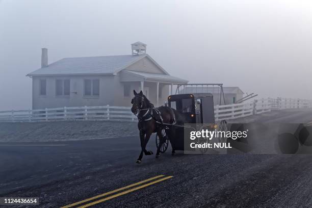 a horse and carriage passes an amish school house - amish horse and buggy imagens e fotografias de stock