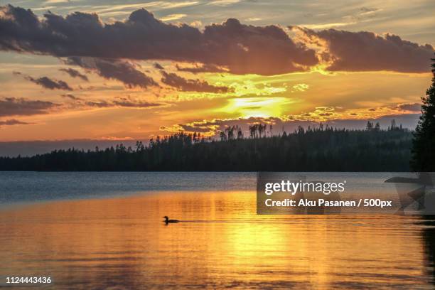 midsummer - juhannus stock pictures, royalty-free photos & images