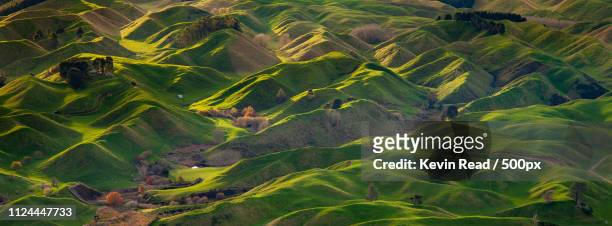 rolling hills of new zealand - north island new zealand stock pictures, royalty-free photos & images